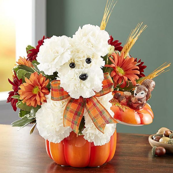 The Autumn Rover by Rich Mar Florist