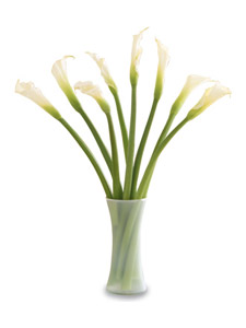 Calla Lily Vase Arrangement by Rich Mar Florist