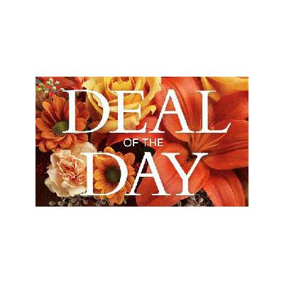 Fall Deal of the Day! by Rich Mar Florist