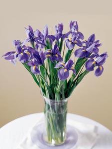 Dozen Iris Arranged by Rich Mar Florist