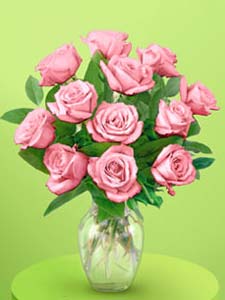 Dozen Precious Pink Roses Arranged by Rich Mar Florist