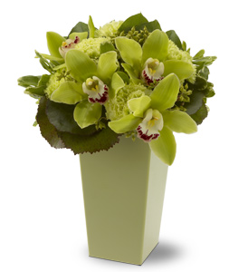 Envious Orchids by Rich Mar Florist