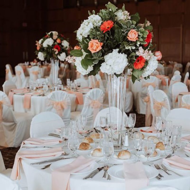 IMG_6298__EDITED-1024x496